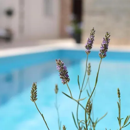 Σπίτι διακοπών Awesome In Donje Rastane