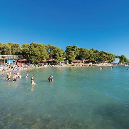 Amazing In